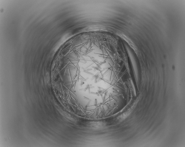 X0000076381465200610161103