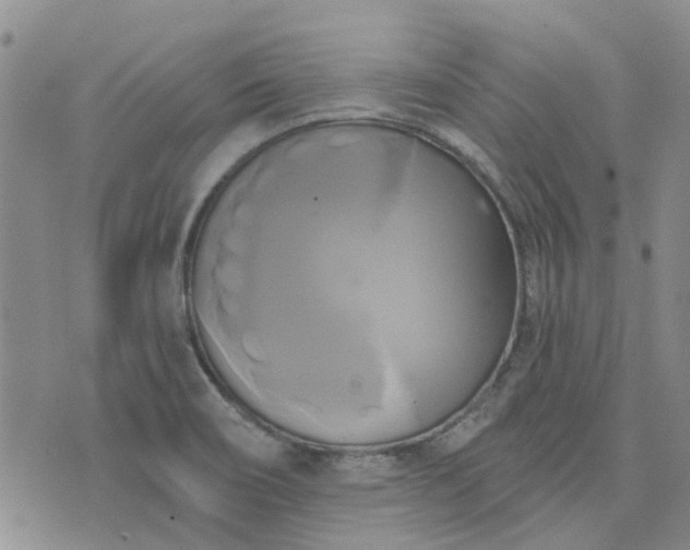 X0000076381466200610161103