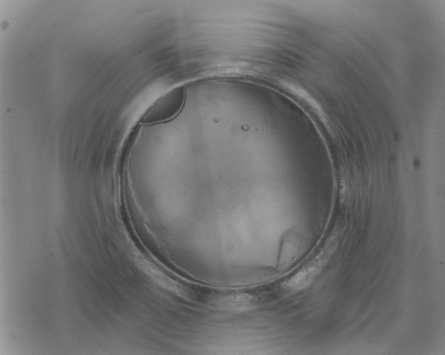 X0000076381467200610161103