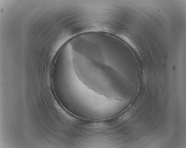 X0000076381468200610161103