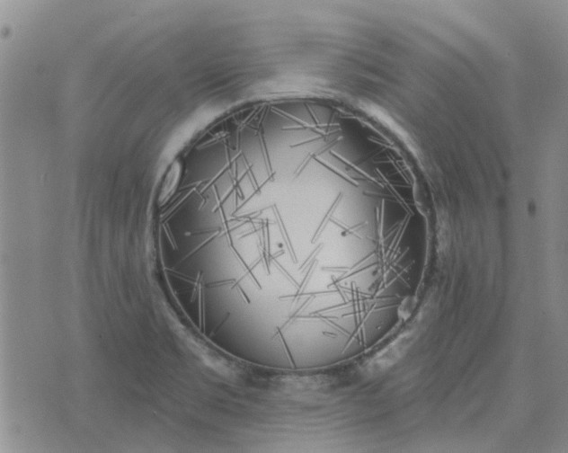 X0000076381469200610161103