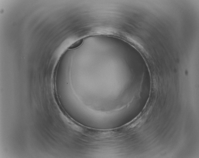 X0000076381471200610161103