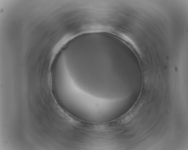 X0000076381472200610161102