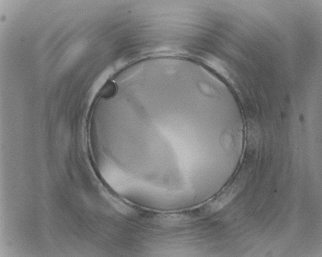 X0000076381474200610161102