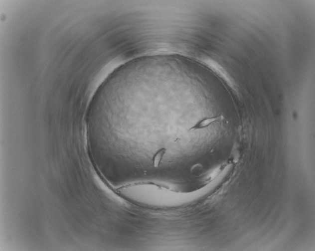 X0000076381476200610161102