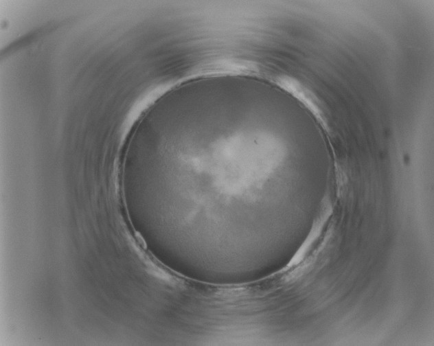 X0000076381477200610161102