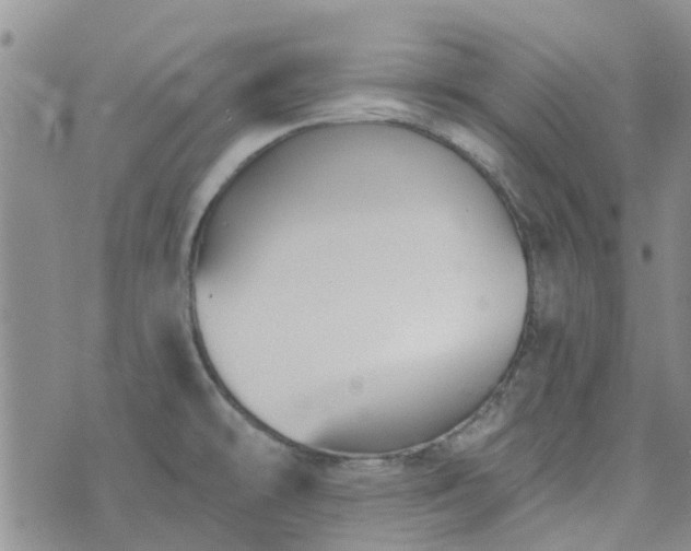 X0000076381478200610161102