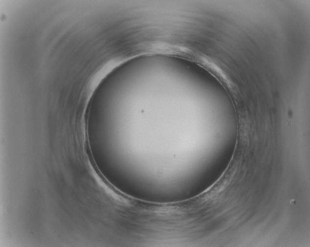 X0000076381479200610161102