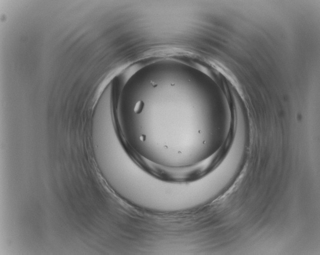 X0000076381481200610161102