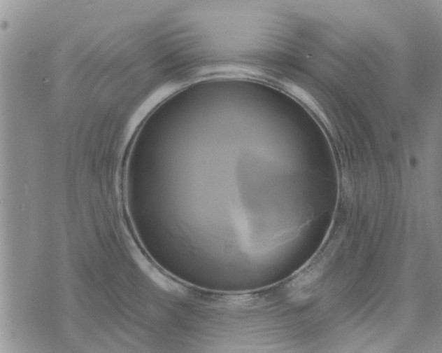 X0000076381482200610161102