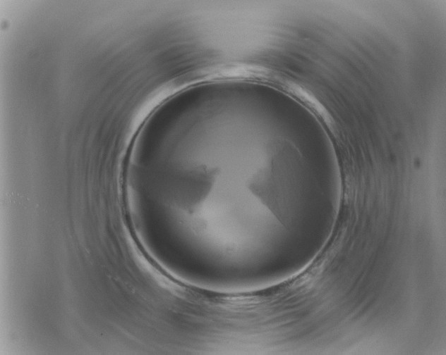 X0000076381483200610161102