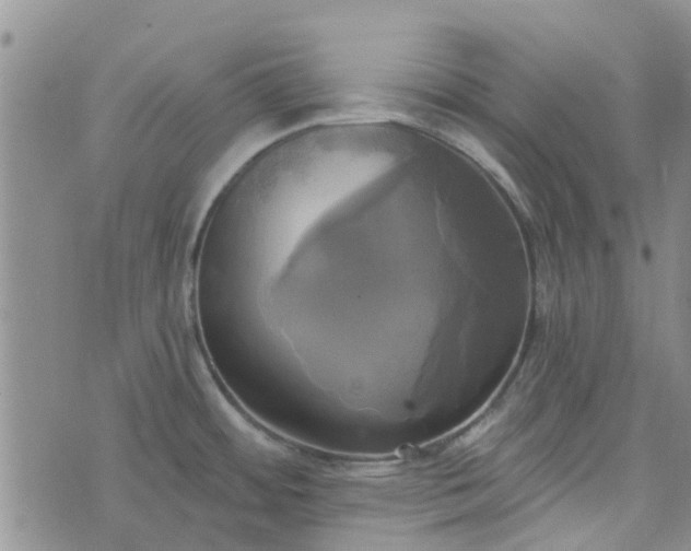 X0000076381484200610161102