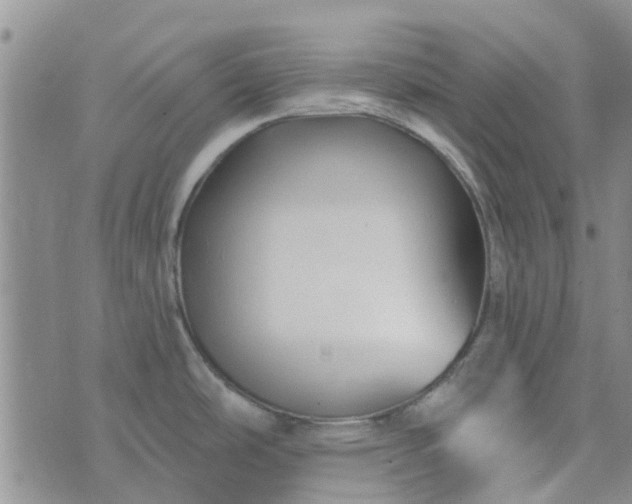 X0000076381486200610161102