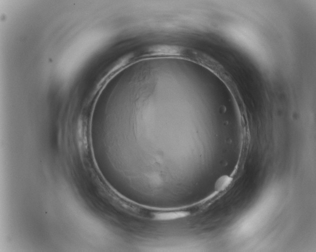 X0000076381487200610161102