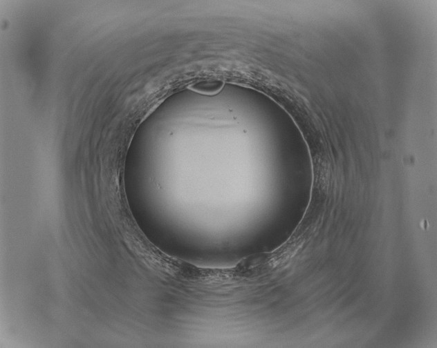 X0000076381489200610161101