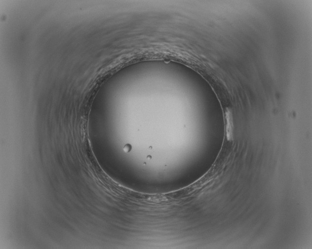 X0000076381491200610161101