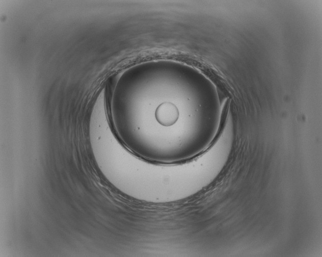 X0000076381492200610161101