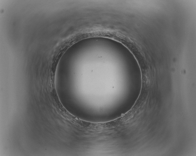 X0000076381493200610161102