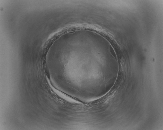 X0000076381494200610161102