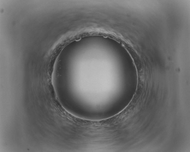 X0000076381495200610161102