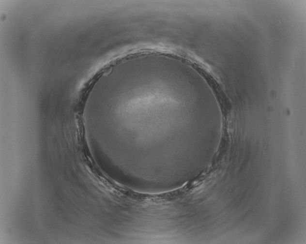 X0000076381496200610161102