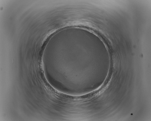 X0000076381497200610161102