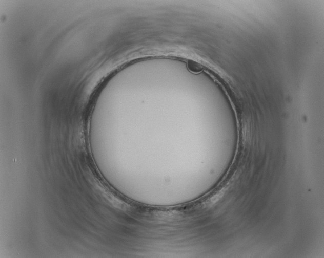 X0000076381498200610161102