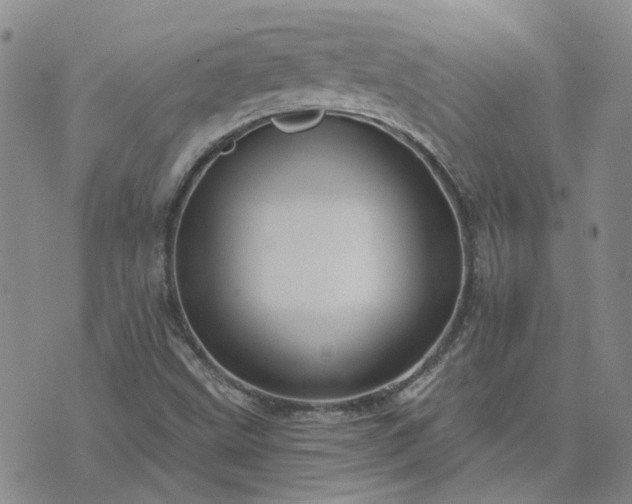 X0000076381499200610161102