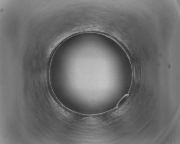 X0000076381500200610161102