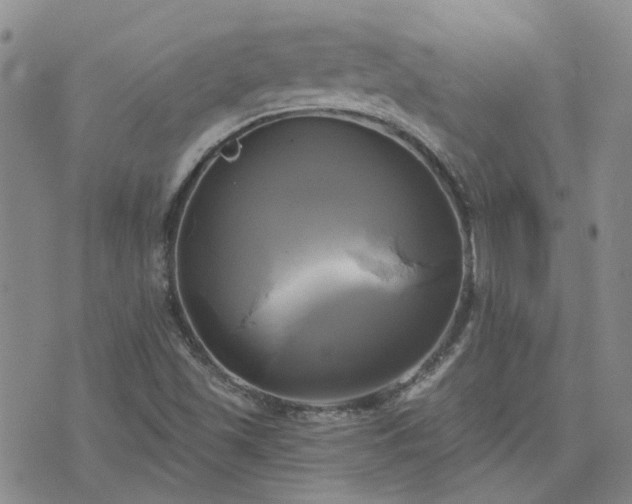 X0000076381501200610161102