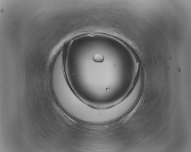 X0000076381502200610161102