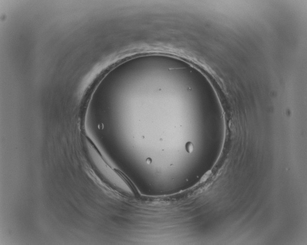 X0000076381503200610161102