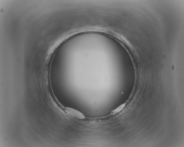 X0000076381504200610161102