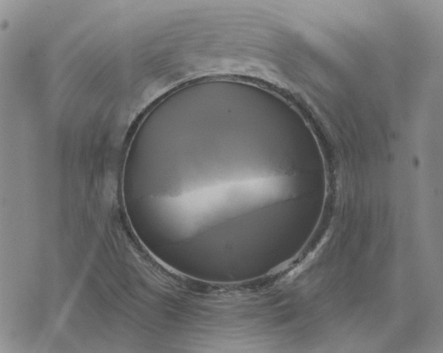 X0000076381505200610161102