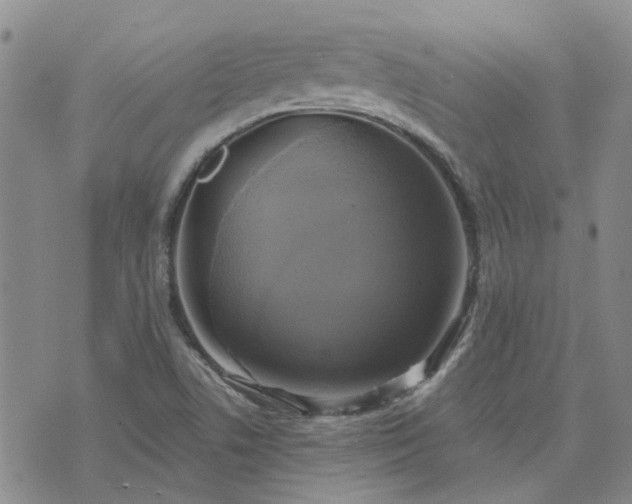 X0000076381506200610161102