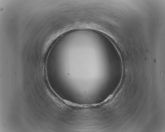 X0000076381507200610161102