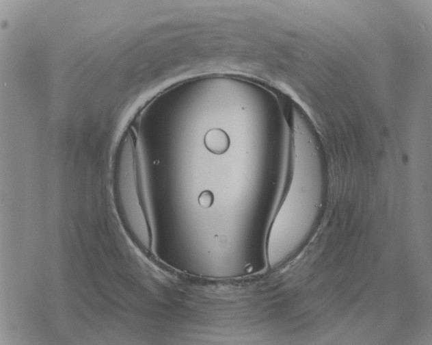 X0000076381508200610161102