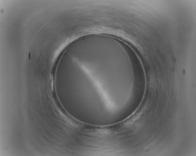 X0000076381509200610161102