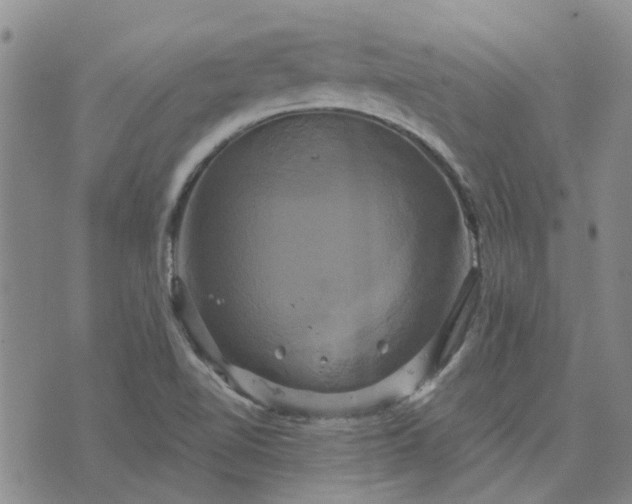 X0000076381510200610161102