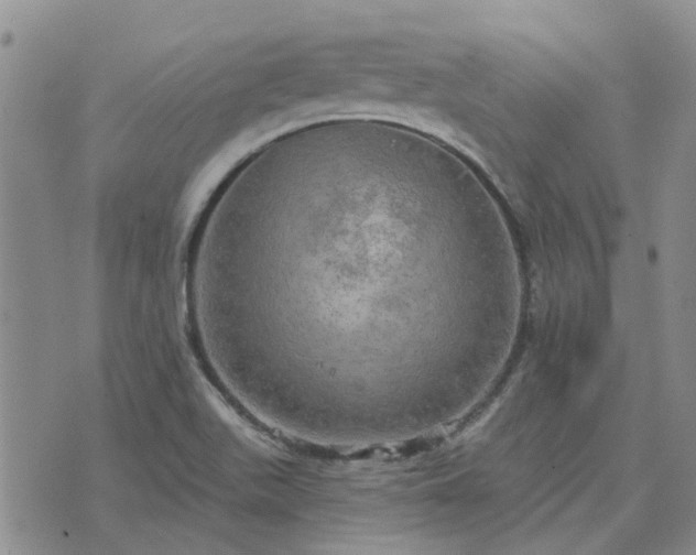 X0000076381511200610161102