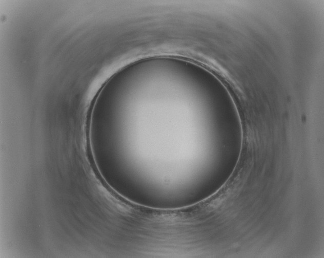 X0000076381512200610161102