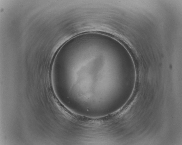 X0000076381513200610161102