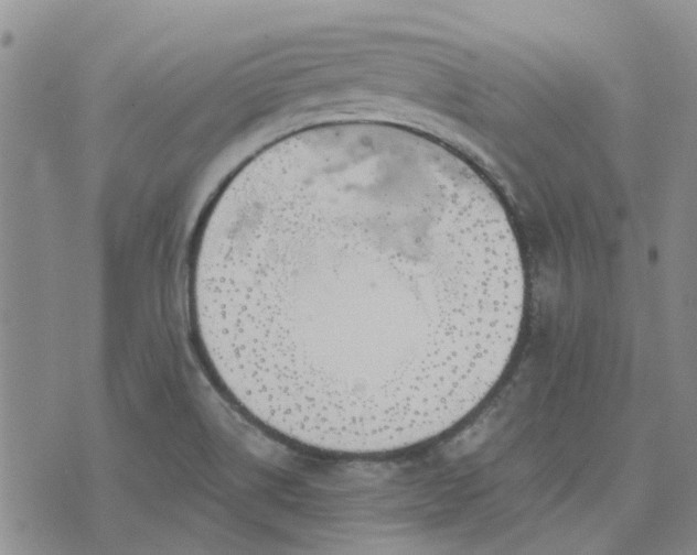 X0000076381514200610161102