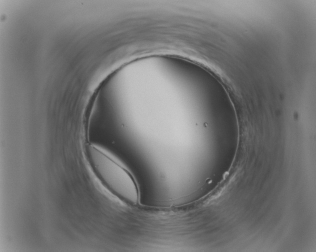 X0000076381518200610161102