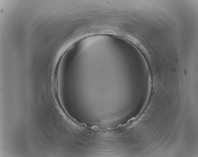 X0000076381520200610161102