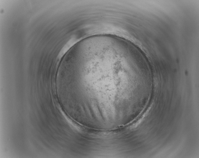 X0000076381521200610161102