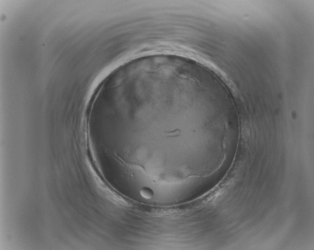 X0000076381522200610161102