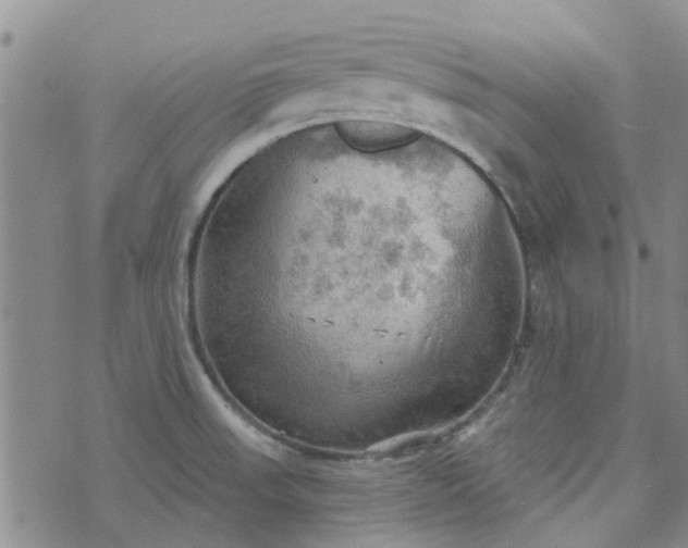 X0000076381523200610161102