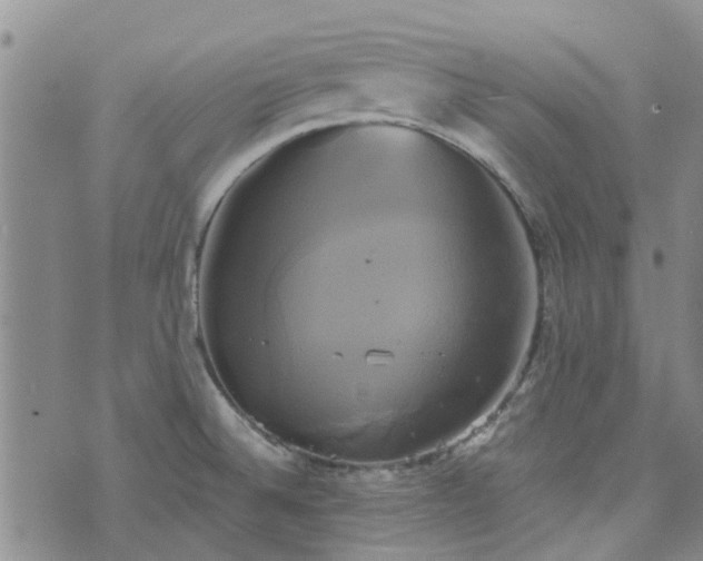 X0000076381524200610161102