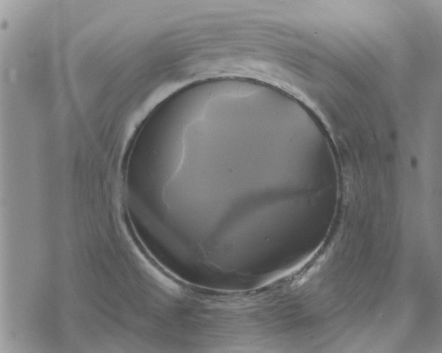 X0000076381525200610161102